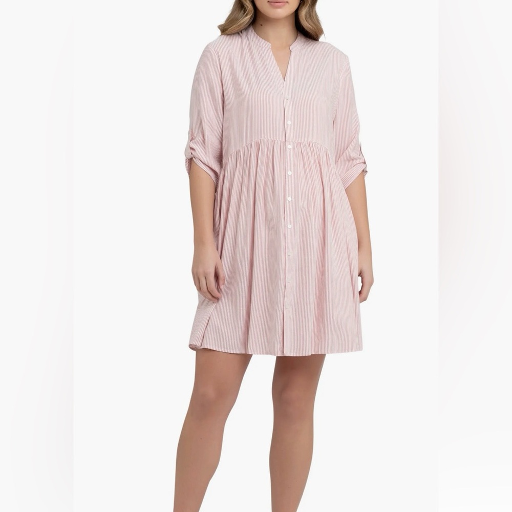 Ripe Pink Striped Maternity & Nursing Mini Dress